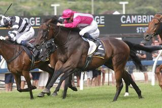 True Enough (NZ) wins the first leg of the NZB Insurance WFA Triple Crown Series. Photo: Trish Dunell. 